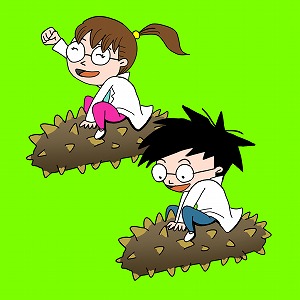 知られざるナマコの生態と資源価値