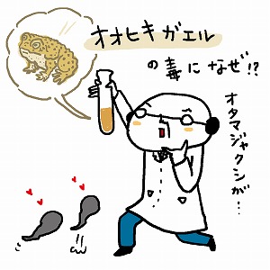 微量な天然物を人工合成、パワーアップさせて有効利用