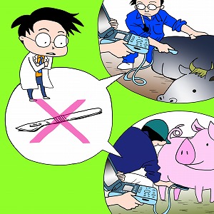 関心ワード「畜産」の講義4