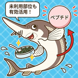 捨てられるチョウザメの臓器から医薬品を　ペプチドの可能性