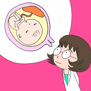 母子感染のメカニズムを解明して胎児を守る