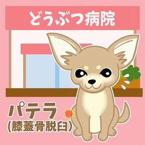 小型犬に多い膝の疾患「パテラ」の謎を解明せよ！