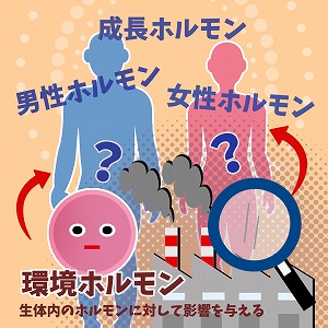 「ほんの少し」の調整力が大きな影響に　ホルモンの世界を解明