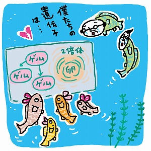 関心ワード「生殖」の講義1