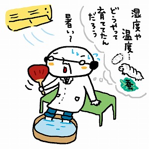 関心ワード「カイコ(蚕)」の講義1