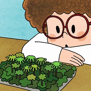 関心ワード「植物」の講義1