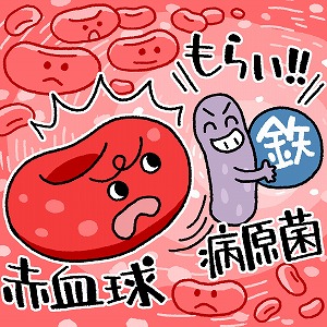 同じ「大学」の講義2