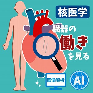 関心ワード「放射線」の講義2