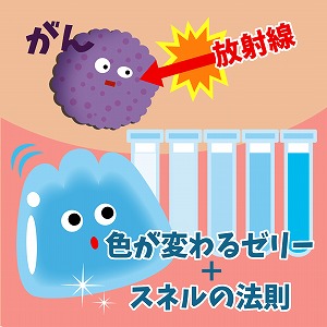 ゼリーと物理学で放射線治療の精度を高める