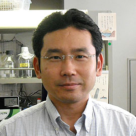 神戸大学 農学部 生命機能科学科 環境生物学コース 准教授 乾 秀之 先生