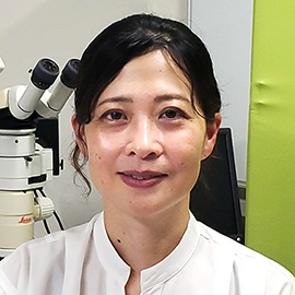 山口大学 農学部 生物機能科学科 准教授 湯山 育子 先生